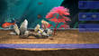 My Aquarium 2