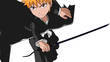 Bleach : Soul Carnival