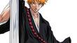 Bleach : Heat The Soul 4