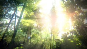 Bordeciel transforme en jungle tropicale