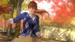 Dead Or Alive 5 Ultimate