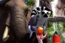 Zoo Tycoon : les diffrences Xbox One / 360