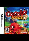 Cocoto Kart Racer