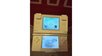 Game Story 1541 Nintendo DS Nintendogs