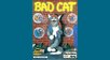 Bad Cat Multi Rainbow Arts 1988