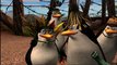 Vido #5 - Les pingouins