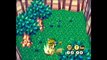 Videotest (NGC): Animal crossing