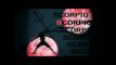 Vidéo #1 - Scorpio
