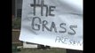 Vido #10 - The Grass Performance