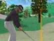Test Express de Nintendo Touch Golf