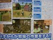   Harvest Moon  dvoil sur Wii