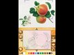 Comment devenir un artiste avec  Paint By DS