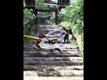 Trois images de  Ninja Gaiden Dragon Sword