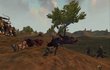 Mount & Blade