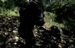 Crysis
