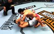 UFC 2009 Undisputed