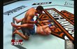 UFC 2009 Undisputed