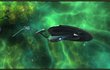 Star Trek Online