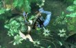 James Cameron's Avatar