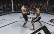 UFC Undisputed 2010