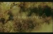 Onimusha : Dawn Of Dreams