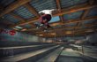 Skate 3