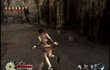 Tenchu : Fatal Shadows