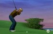 Tiger Woods PGA Tour 2005