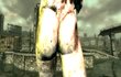 Fallout 3