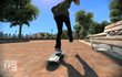 Skate 3