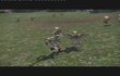 Final Fantasy 13
