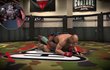 EA Sports MMA