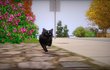 Les Sims 3 : Animaux & Cie