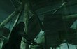 Dark Sector