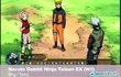 Naruto Shippden : Gekitou Ninja Taisen EX
