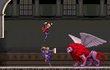Castlevania : Portrait Of Ruin
