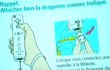 Vidos des internautes
