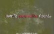 Resident Evil : The Umbrella Chronicles