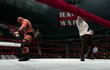 WWE '13