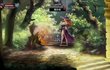 Dragon's Crown