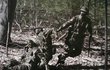 Company Of Heroes 2 : The Western Front Armies