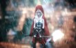 Woolfe : The Redhood Diaries