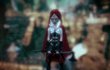 Woolfe : The Redhood Diaries