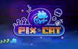 PIX the CAT