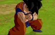 Dragon Ball Z : Burst Limit