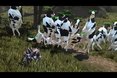 Vido insolite : il y a un niveau avec des vaches tueuses dans Goat Simulator