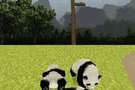   National Geographic Panda,  ils sont tout mimi