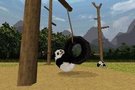   National Geographic Panda,  mangeurs de bambous