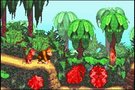 Donkey kong country : Donkey Kong sur GBA