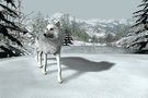   ND : Le Loup Blanc D'Icicle Creek  aussi sur Wii